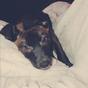 Meet your Posher, Shannon